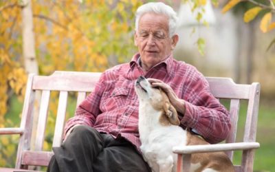 L’importanza degli animali da compagnia nella vita degli anziani