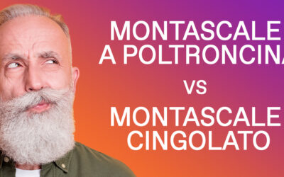 Differenze tra un montascale cingolato e un montascale elettrico